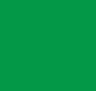 Capsdsdture A green square.