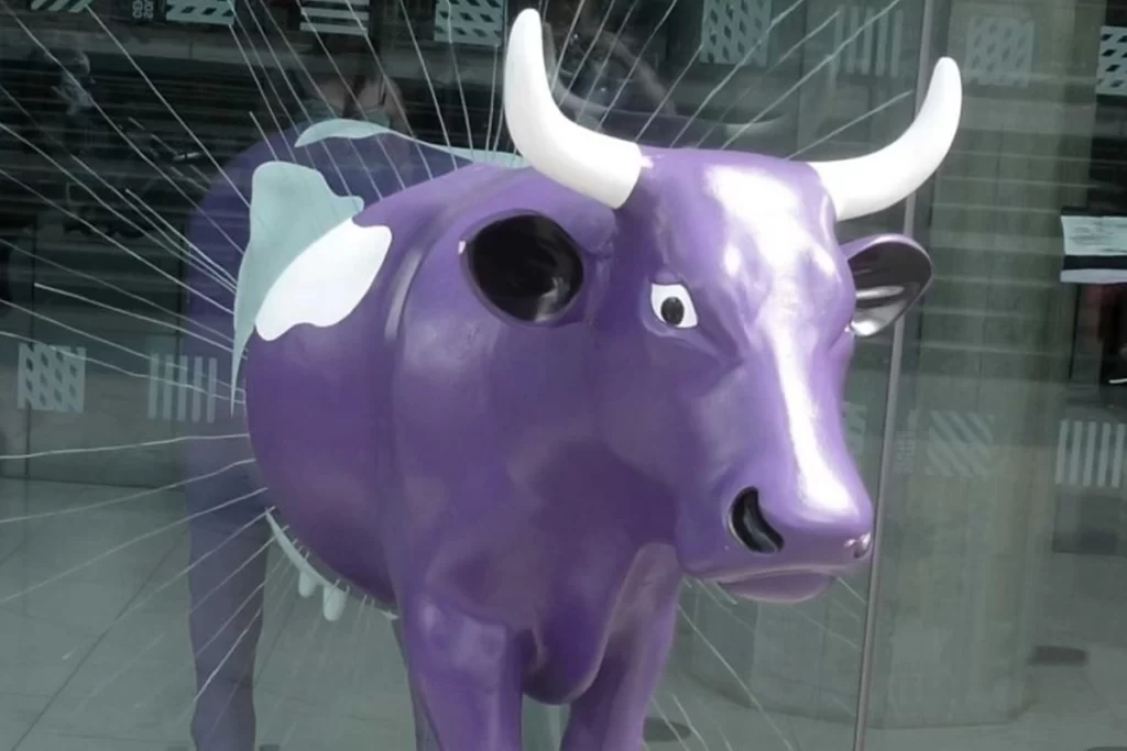 A purple cow crashes through a window.